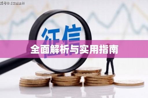 忻府全面解析与实用指南