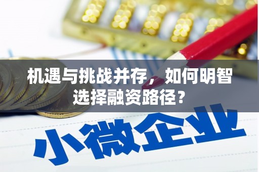 兰西机遇与挑战并存，如何明智选择融资路径？