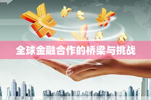 金乡全球金融合作的桥梁与挑战