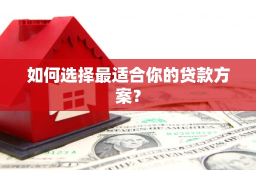 芦淞如何选择最适合你的贷款方案？
