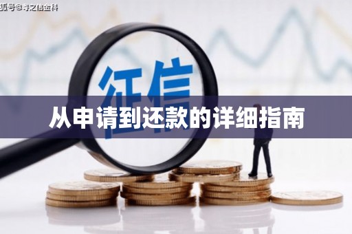龙湾从申请到还款的详细指南