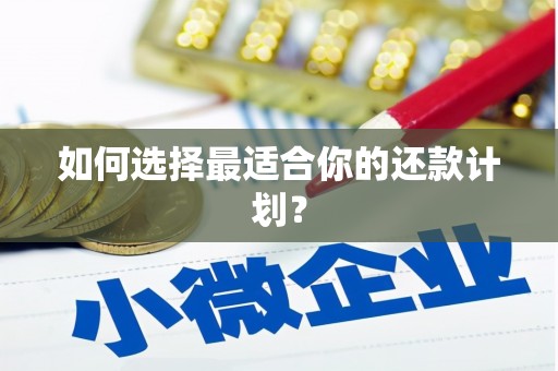 梁平如何选择最适合你的还款计划？