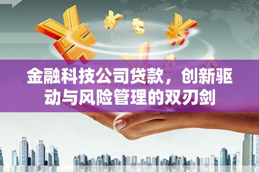 沙依巴克金融科技公司贷款，创新驱动与风险管理的双刃剑